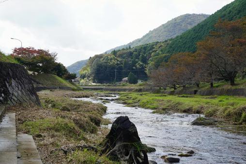 小川の風景 川,流れ,風景の写真素材