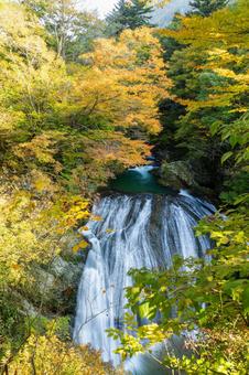 秋の関山大滝⑼ 秋,紅葉,滝の写真素材