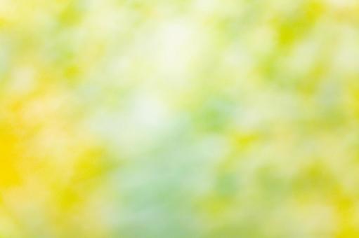 水引飾りと梅結びで彩る上品な新年素材 背景,グラデーション,ぼかしの写真素材