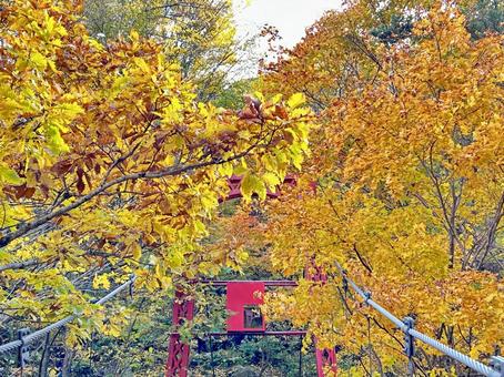 定山渓 定山渓温泉,秋,１０月の写真素材