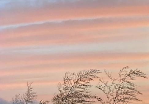夕焼け雲 夕焼け雲の写真