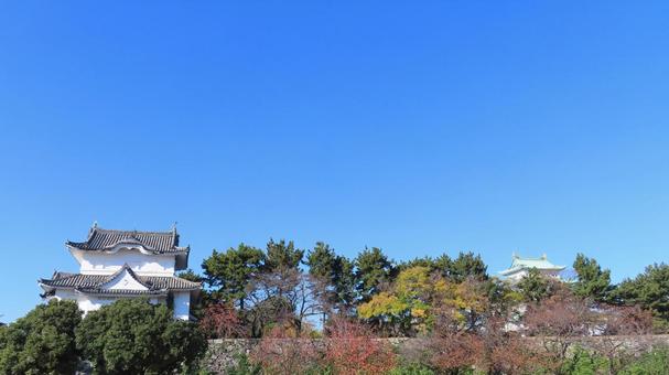 名古屋城　本丸　東南隅櫓　天守 名古屋城,尾張徳川家,御三家の写真素材