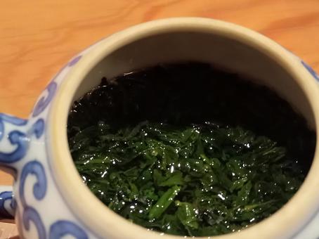 日本茶　玉露 日本茶,お茶,玉露の写真素材