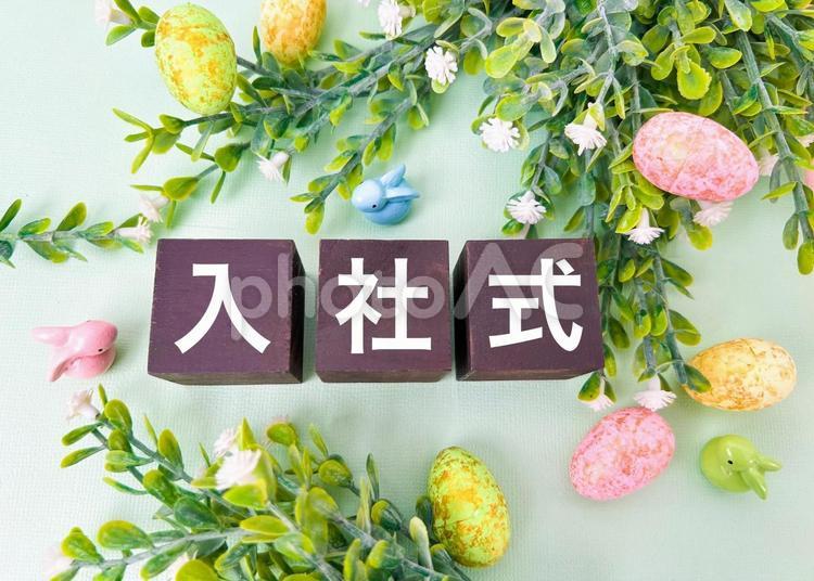 入社式の文字素材 入社,入社式,新卒の写真素材