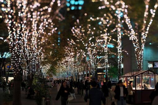 丸の内仲通りのイルミネーション 丸の内,仲通り,イルミネーションの写真素材