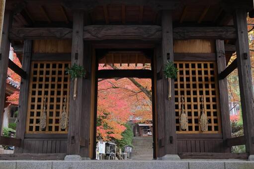 佐賀県基山町「大興善寺」の紅葉 大興善寺,紅葉,佐賀県の写真素材