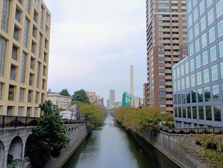 目黒川とビル 目黒川,東京都,都心の写真素材