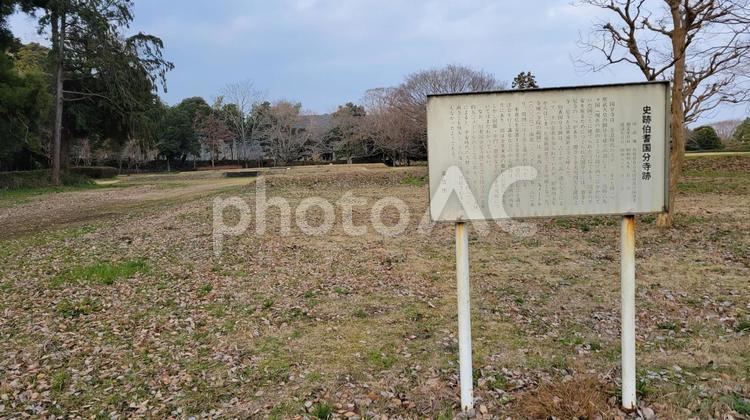 史跡伯耆国分寺跡 史跡,伯耆,国分寺の写真素材