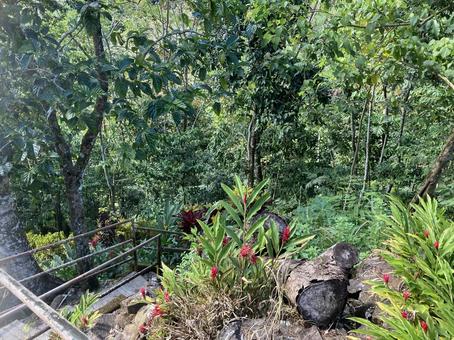 自然 川,自然,風景の写真素材