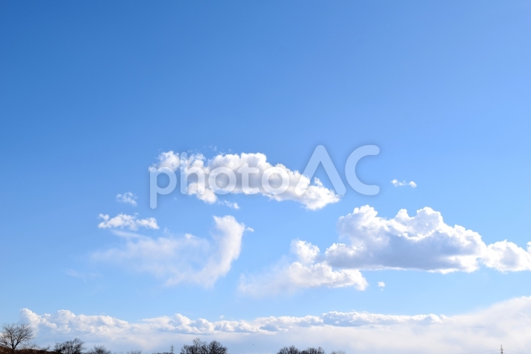 雲の表情　青空と白い雲 空,雲,青の写真素材