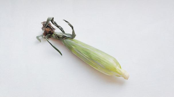 Photo, corn, vegetables, skin, 