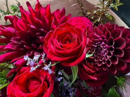 深みのある赤のブーケ ブーケ,花,花束の写真素材