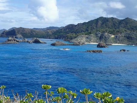 小笠原の南島の景色 小笠原の南島の景色 小笠原,南島,小笠原南島の写真素材