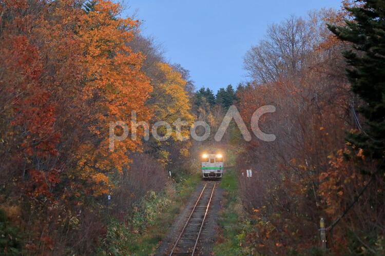晩秋の札沼線(キハ40系)　かなり遠目 札沼線,秋,紅葉の写真素材