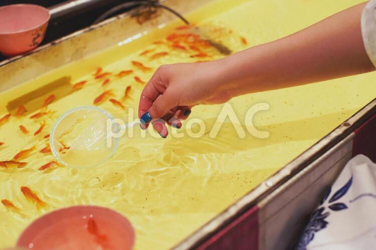 お祭りで金魚すくいをする女の子の手 後ろ姿,後姿,歩くの写真素材
