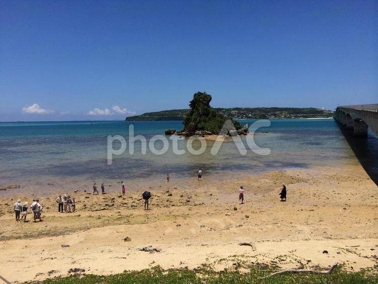透き通る海水とカエル岩、海辺を楽しむ人々 カエル岩,海,浜辺の写真素材