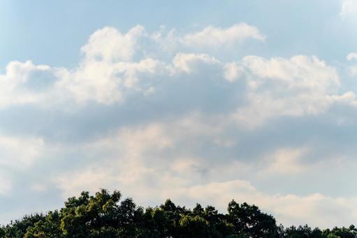 雲のある秋空 雲,空,青空の写真素材