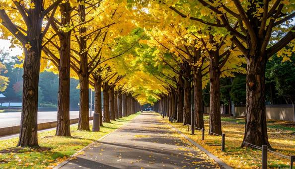 公園 公園の写真