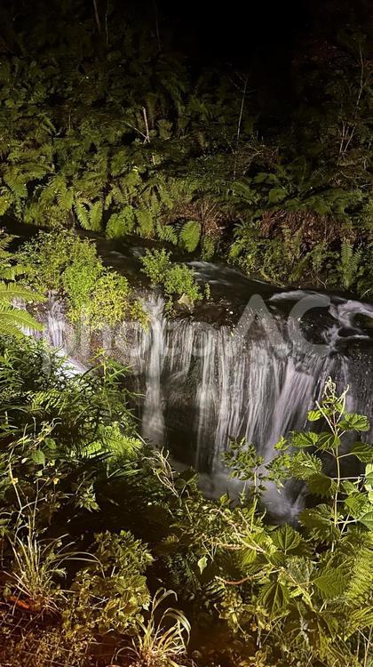 長野県軽井沢の自然 長野県,自然,軽井沢の写真素材