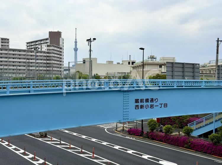 曇り空　新小岩の街並み ツツジ,歩道橋,国道の写真素材