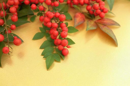 金色背景　南天 南天,ナンテン,正月の写真素材