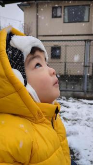 1歳の雪 1歳の雪の写真