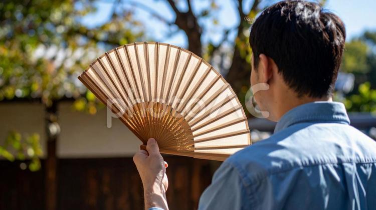 広げられた生成り色の扇子 扇子,広げ,生成りの写真素材