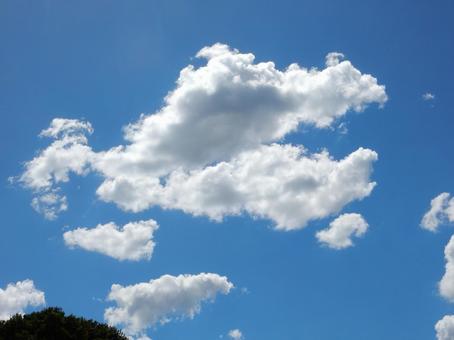 【風景写真】夏空 【風景写真】夏空の写真