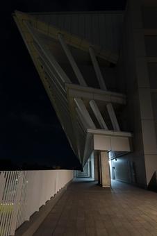 東京アクアティクスセンター 夜景 東京アクアティクスセンター 夜景 東京アクアティクスセンター,夜,アクアティクスセンターの写真素材