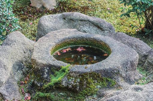 手水鉢の紅葉 手水鉢の紅葉 紅葉,おちば,赤の写真素材