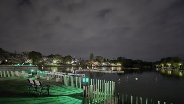浮間公園 浮間公園 日本,公園,池の写真素材