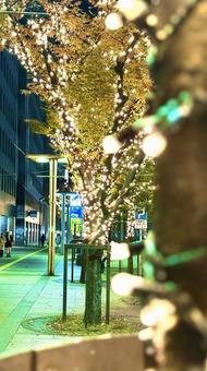 街のイルミネーション イルミネーション,電飾,クリスマスの写真素材