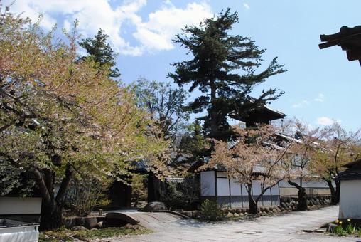 Photo, shinshu, suzaka, walking in town, 