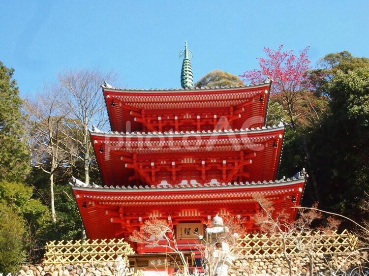 岐阜城　三重の塔 岐阜公園,金華山,岐阜城の写真素材
