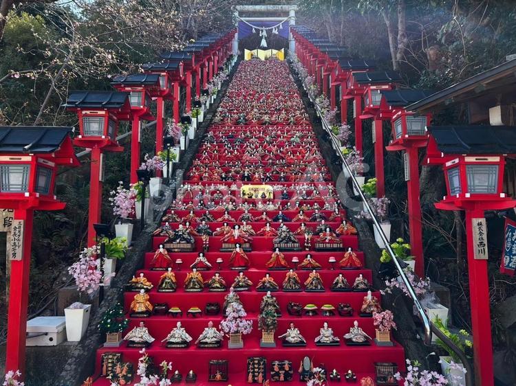 遠見岬神社の雛人形（正面アングル） ひなまつり,勝浦,ビッグひな祭りの写真素材