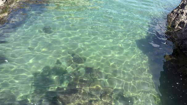 エメラルドグリーンの海 エメラルドグリーンの海の写真