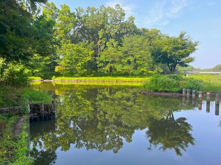 【シンメトリー】古河公方公園の風景 シンメトリー,古河公方公園,公園の写真素材