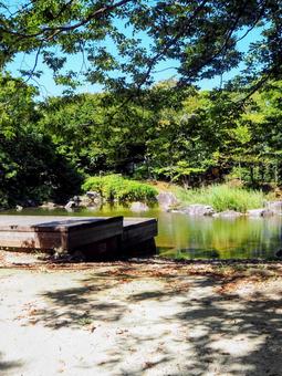 初秋の猿江恩賜公園・日本庭園(江東区) 初秋の猿江恩賜公園・日本庭園(江東区)の写真