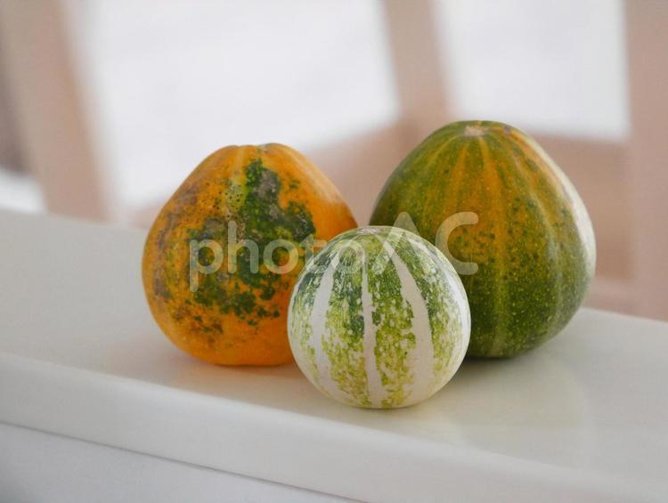 おもちゃカボチャ おもちゃかぼちゃ,11月,ハロウィンの写真素材