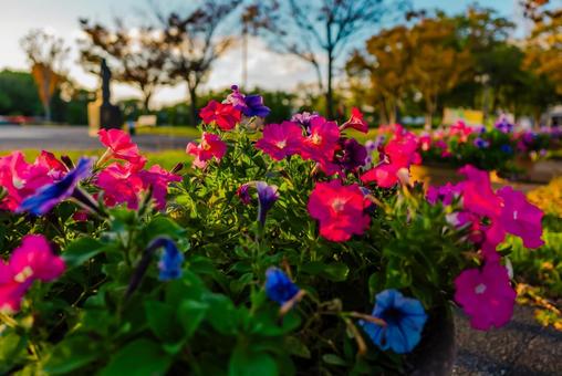 【佐賀】佐賀県立博物間・佐賀県立美術館 佐賀,風景,自然の写真素材