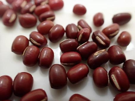Hokkaido-grown adzuki beans, JPG Hokkaido-grown adzuki beans, JPG