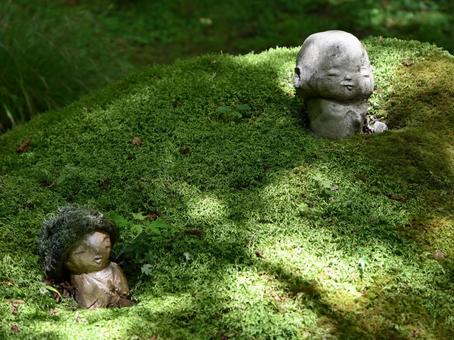 京都大原三千院 大原三千院,寺,癒しの写真素材