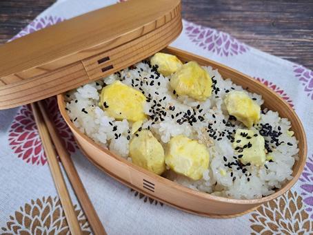 栗ごはん弁当 栗,秋の味覚,食欲の秋の写真素材