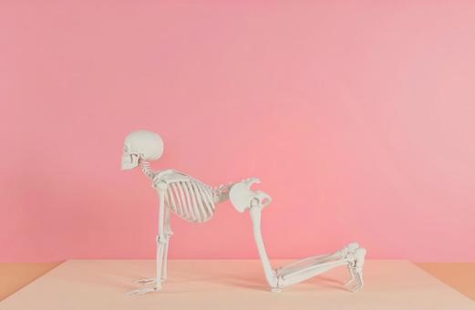 Skeleton who decides yoga pose I Skeleton who decides yoga pose I