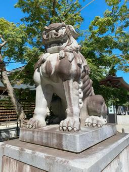 寒川神社の勇ましさ パワースポット,厄払い,厄除けの写真素材