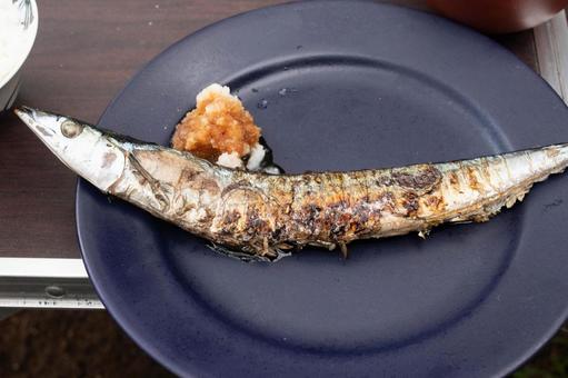 さんま さんま,魚,焼き魚の写真素材