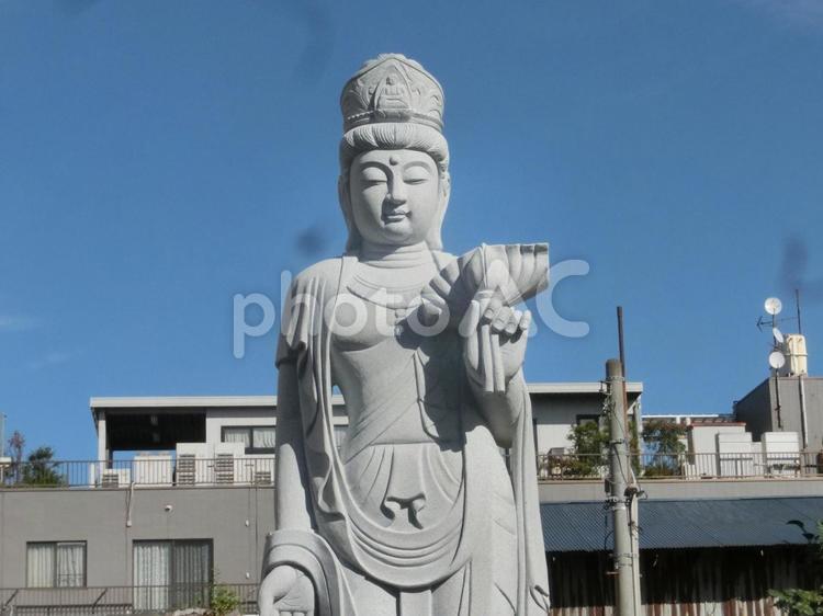 鎌ヶ谷延命寺の風景-8 鎌ヶ谷延命寺,千葉県鎌ケ谷市,境内の写真素材