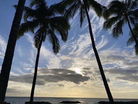 ハワイの海の景色Ｄ ハワイ,ヤシの木,コオリナの写真素材