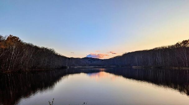 夕焼けの池 林,夕焼け,池の写真素材