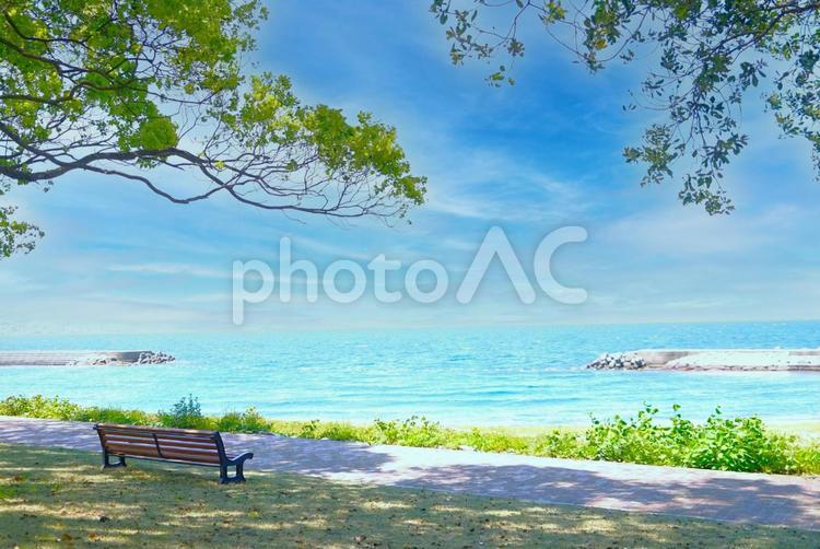 新緑の海景とベンチ（青空） 海,ビーチ,新緑の写真素材